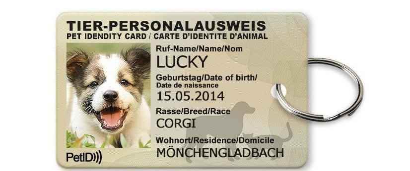 Carte d'identité pour animal de compagnie - Crea Muze