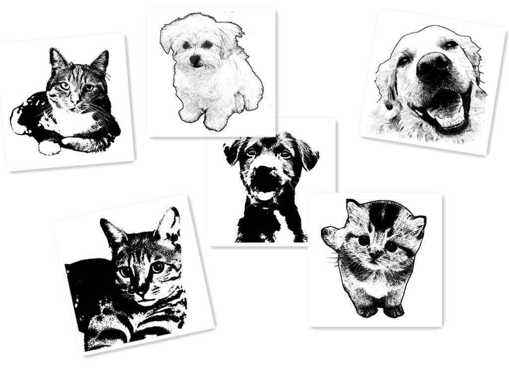 Custom Engrave Pet Name Photo Keychain - Crea Muze