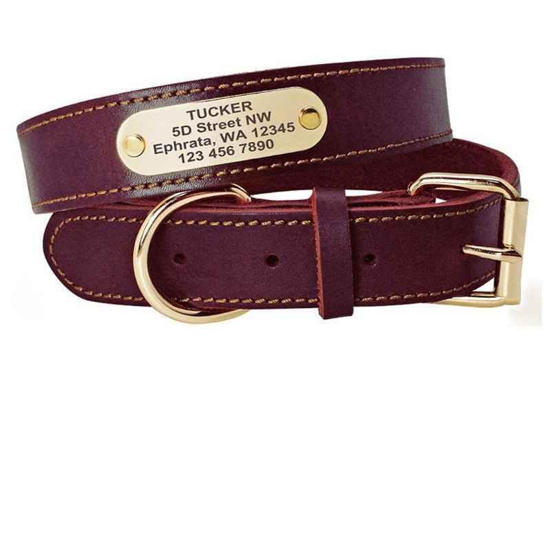 Personalized Dog Collars with Nameplate ID Tags for Medium Large Dogs - Crea Muze