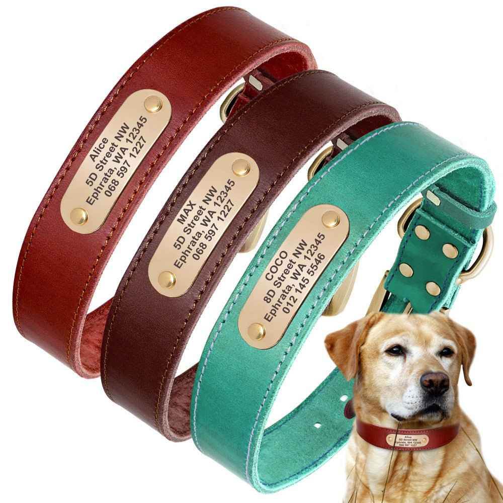 Personalized Dog Collars with Nameplate ID Tags for Medium Large Dogs - Crea Muze