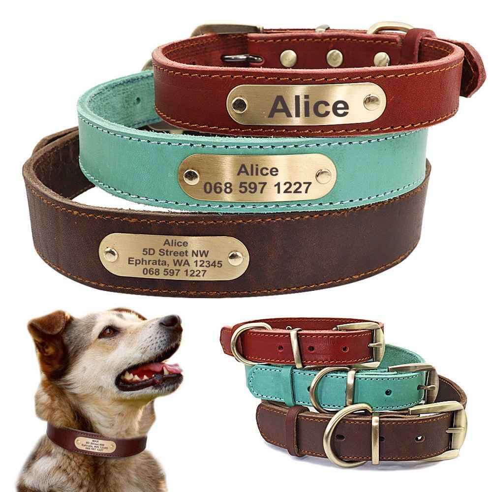 Personalized Dog Collars with Nameplate ID Tags for Medium Large Dogs - Crea Muze