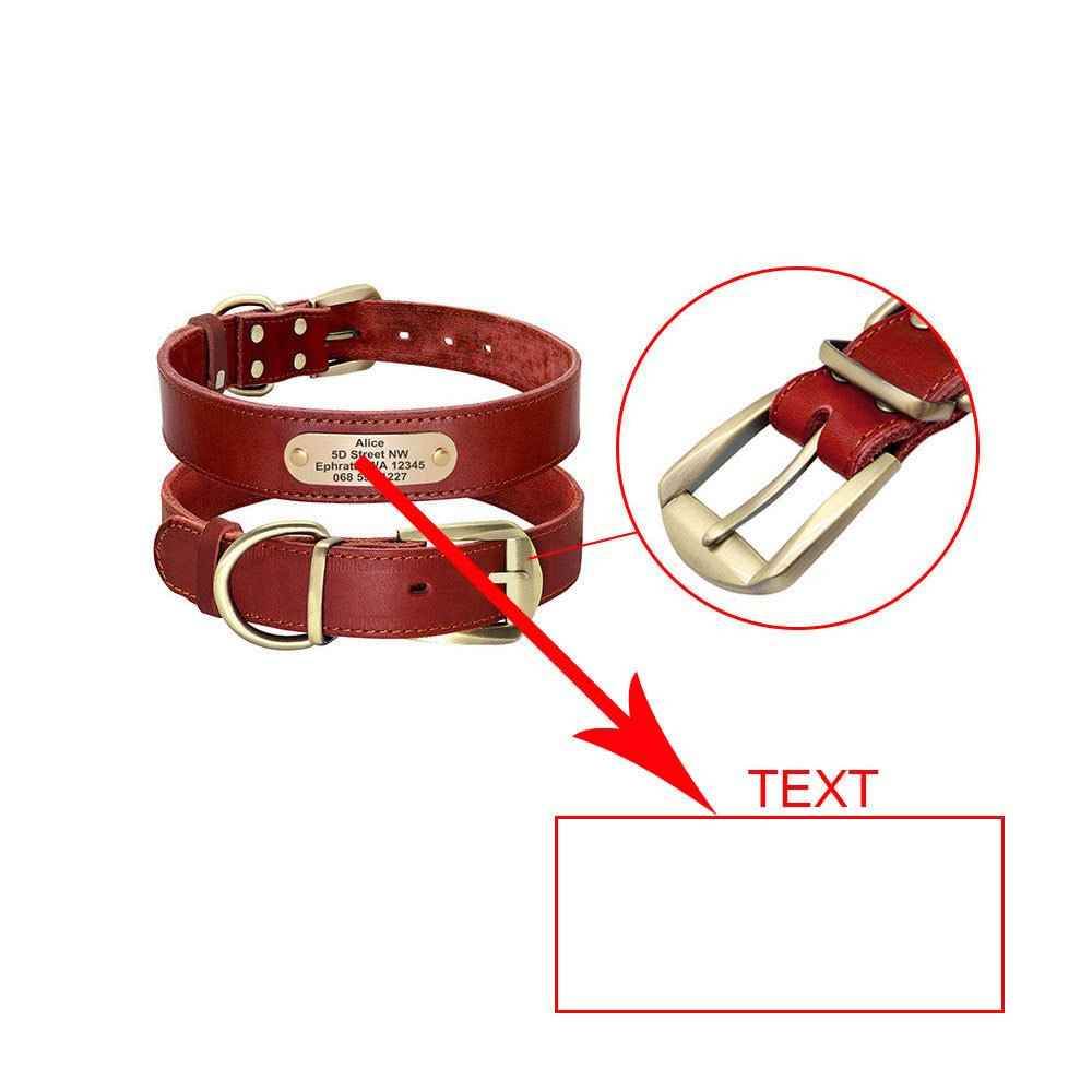 Personalized Dog Collars with Nameplate ID Tags for Medium Large Dogs - Crea Muze