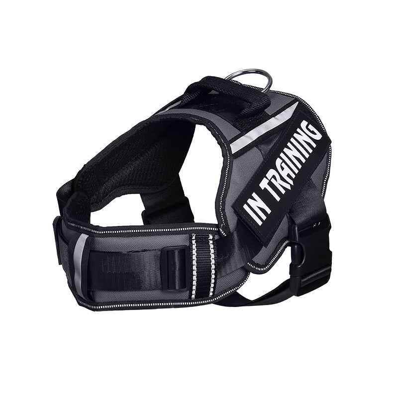 Reflective Dog Leash For Chest Harness Customization - Crea Muze