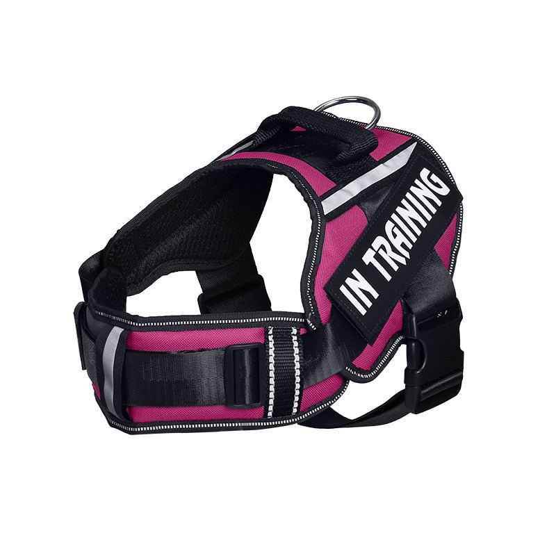 Reflective Dog Leash For Chest Harness Customization - Crea Muze