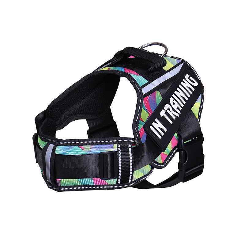Reflective Dog Leash For Chest Harness Customization - Crea Muze