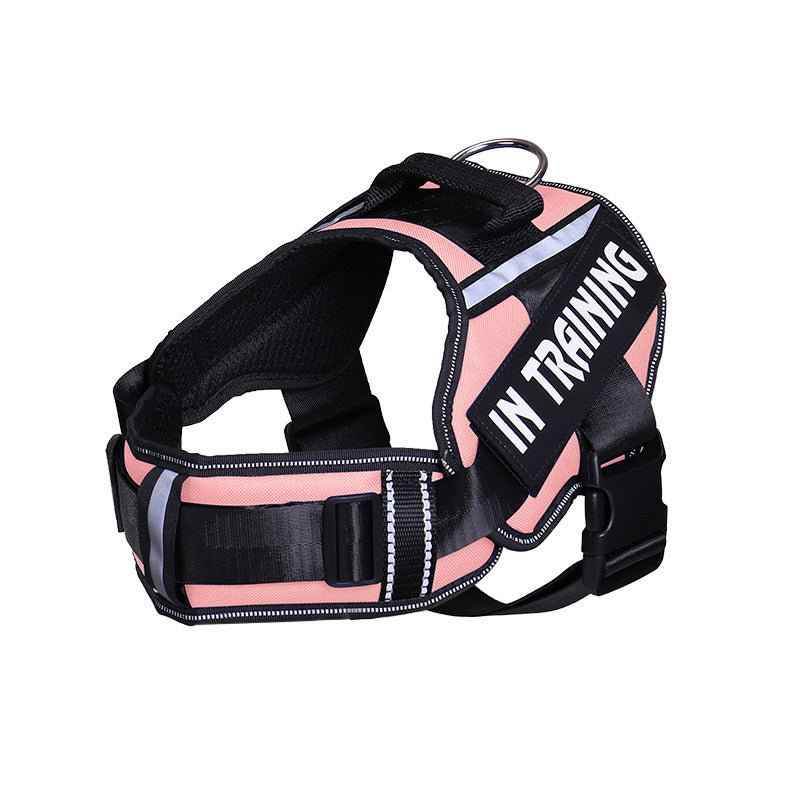 Reflective Dog Leash For Chest Harness Customization - Crea Muze