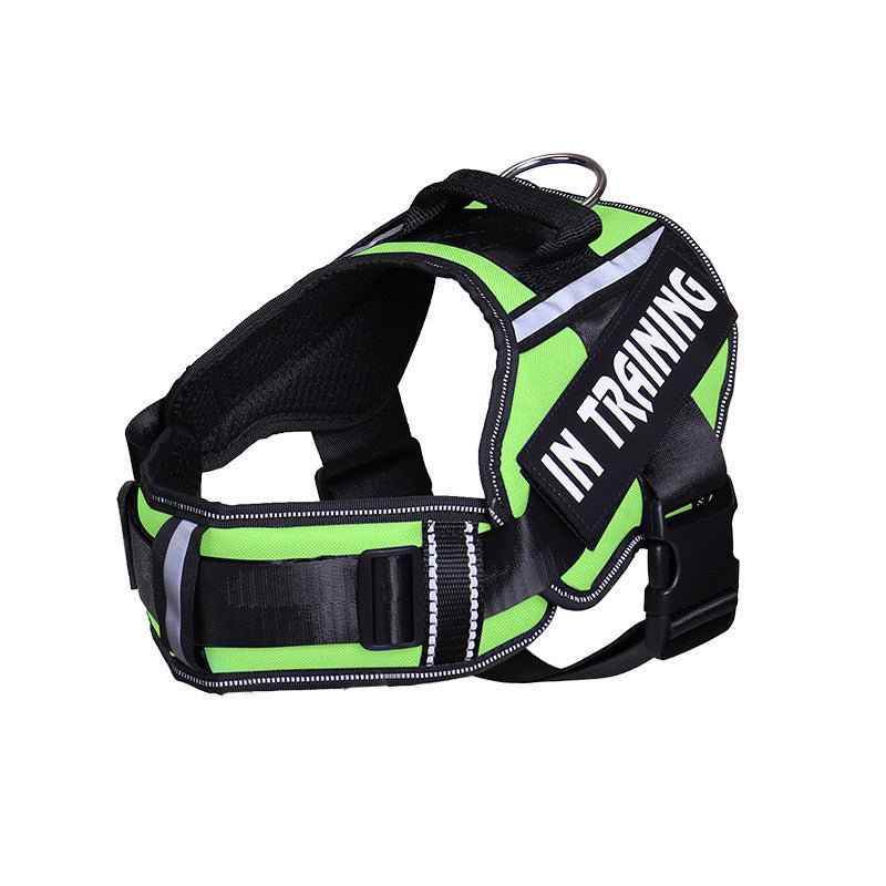 Reflective Dog Leash For Chest Harness Customization - Crea Muze